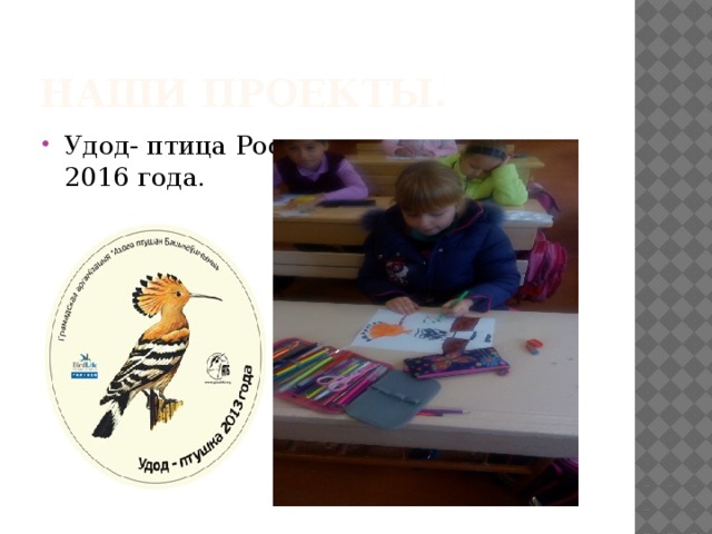 Наши проекты. Удод- птица Рос  -     с сии 2016 года. 