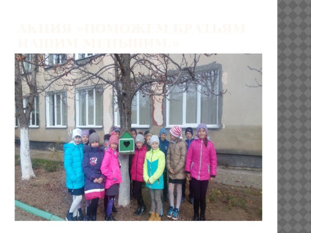 Акция »Поможем братьям нашим меньшим.» 