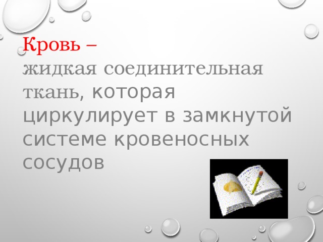 Кровь –  жидкая соединительная ткань , которая циркулирует в замкнутой системе кровеносных сосудов 