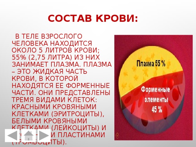 Состав крови:  В теле взрослого человека находится около 5 литров крови; 55% (2,75 литра) из них занимает плазма. Плазма – это жидкая часть крови, в которой находятся ее форменные части. Они представлены тремя видами клеток: красными кровяными клетками (эритроциты), белыми кровяными клетками (лейкоциты) и кровяными пластинами (тромбоциты). 