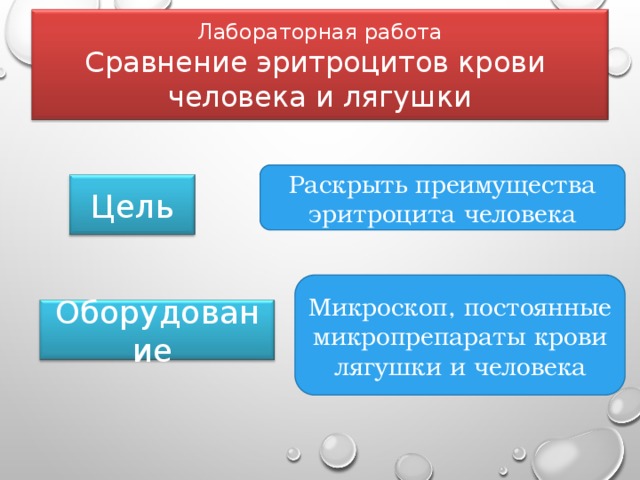 Лабораторная работа  Сравнение эритроцитов крови  человека и лягушки Раскрыть преимущества эритроцита человека Цель Микроскоп, постоянные микропрепараты крови лягушки и человека Оборудование 