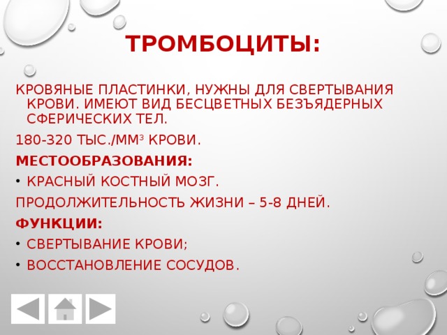 Тромбоциты: Кровяные пластинки, нужны для свертывания крови. Имеют вид бесцветных безъядерных сферических тел. 180-320 тыс./мм 3 крови. Местообразования: Красный костный мозг. Продолжительность жизни – 5-8 дней. Функции: Свертывание крови; Восстановление сосудов. 