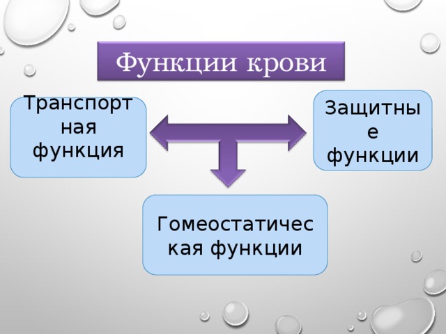 Функции крови Защитные функции Транспортная функция   Гомеостатическая функции 