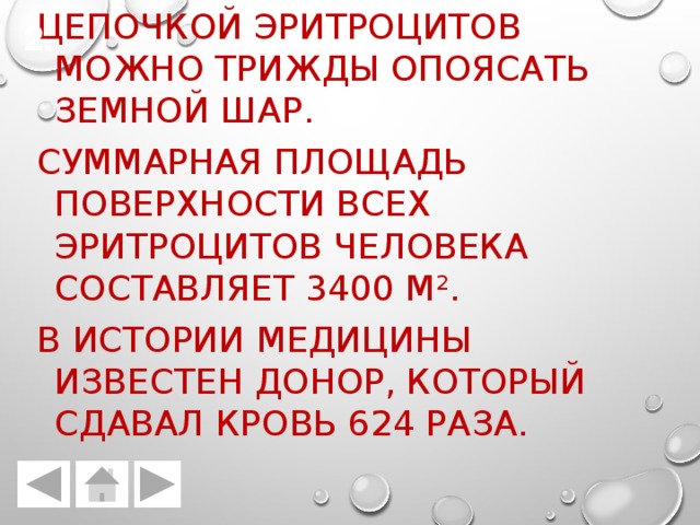 Цепочкой эритроцитов можно трижды опоясать Земной шар. Суммарная площадь поверхности всех эритроцитов человека составляет 3400 м 2 . В истории медицины известен донор, который сдавал кровь 624 раза. 2. 