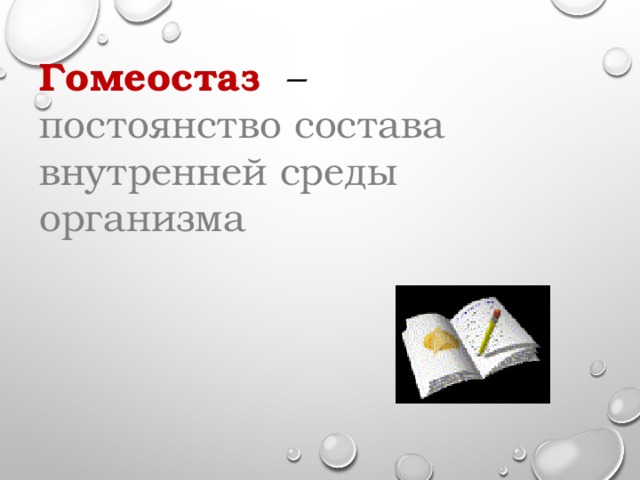 Гомеостаз – постоянство состава внутренней среды организма 