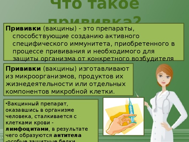 Что такое прививка? Прививки  (вакцины) - это препараты, способствующие созданию активного специфического иммунитета, приобретенного в процессе прививания и необходимого для защиты организма от конкретного возбудителя болезни. Прививки  (вакцины) изготавливают из микроорганизмов, продуктов их жизнедеятельности или отдельных компонентов микробной клетки. Вакцинный препарат, оказавшись в организме человека, сталкивается с клетками крови - лимфоцитами , в результате чего образуются антитела -особые защитные белки. 