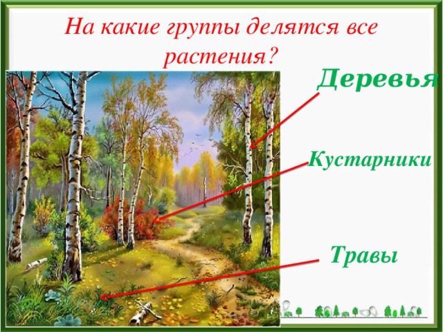 На какие группы делятся все растения? Деревья Кустарники Травы 