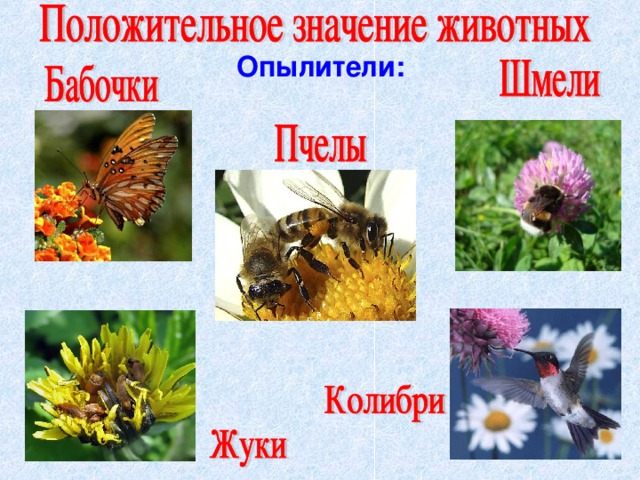 Опылители: 