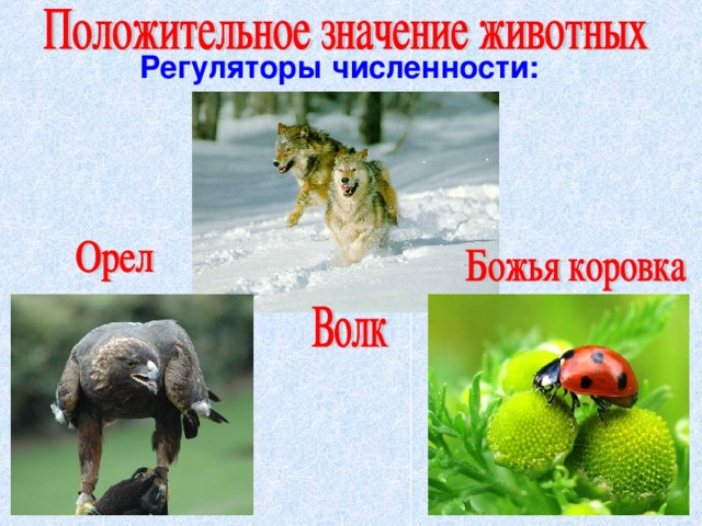 Регуляторы численности: 