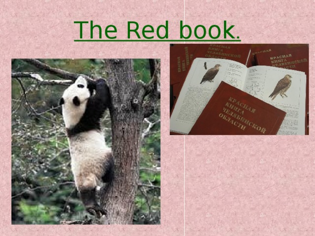 The Red book . 