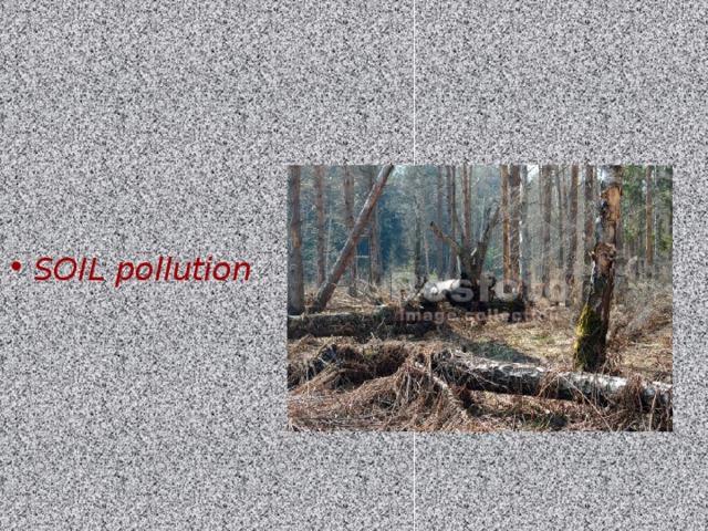SOIL pollution 