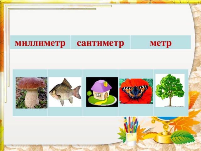 миллиметр сантиметр метр