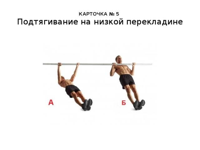 КАРТОЧКА № 5  Подтягивание на низкой перекладине