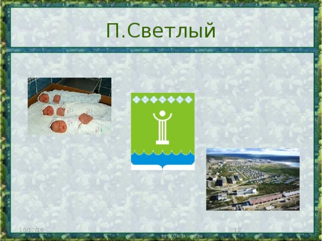 П.Светлый 10/17/16  