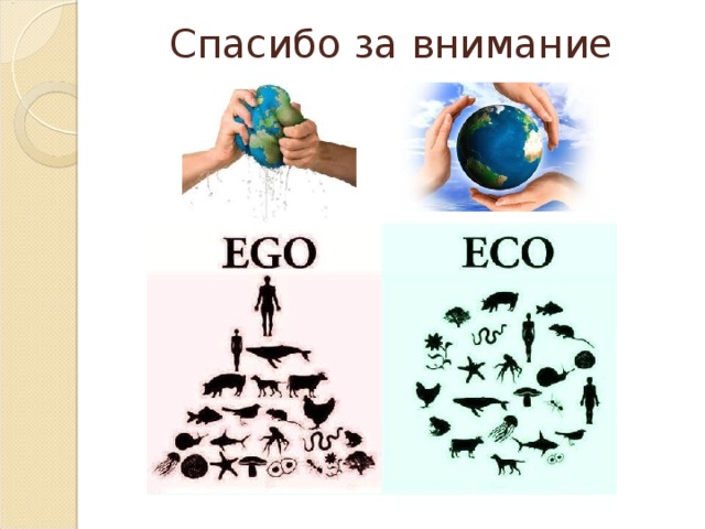 Спасибо за внимание экология