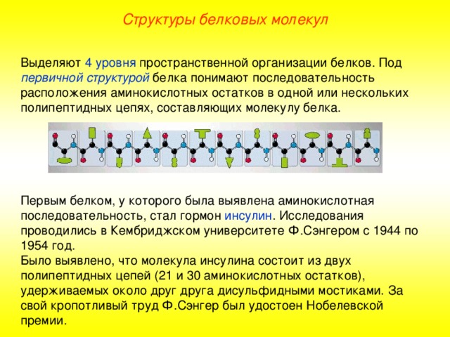 Структуры белковых молекул Выделяют 4 уровня пространственной организации белков. Под первичной структурой белка понимают последовательность расположения аминокислотных остатков в одной или нескольких полипептидных цепях, составляющих молекулу белка. Первым белком, у которого была выявлена аминокислотная последовательность, стал гормон инсулин . Исследования проводились в Кембриджском университете Ф.Сэнгером с 1944 по 1954 год. Было выявлено, что молекула инсулина состоит из двух полипептидных цепей (21 и 30 аминокислотных остатков), удерживаемых около друг друга дисульфидными мостиками. За свой кропотливый труд Ф.Сэнгер был удостоен Нобелевской премии. 