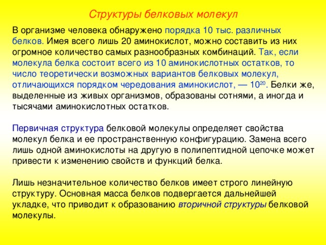 Структуры белковых молекул В организме человека обнаружено порядка 10 тыс. различных белков. Имея всего лишь 20 аминокислот, можно составить из них огромное количество самых разнообразных комбинаций. Так, если молекула белка состоит всего из 10 аминокислотных остатков, то число теоретически возможных вариантов белковых молекул, отличающихся порядком чередования аминокислот, — 10 20 . Белки же, выделенные из живых организмов, образованы сотнями, а иногда и тысячами аминокислотных остатков. Первичная структура белковой молекулы определяет свойства молекул белка и ее пространственную конфигурацию. Замена всего лишь одной аминокислоты на другую в полипептидной цепочке может привести к изменению свойств и функций белка. Лишь незначительное количество белков имеет строго линейную структуру. Основная масса белков подвергается дальнейшей укладке, что приводит к образованию вторичной структуры белковой молекулы. 