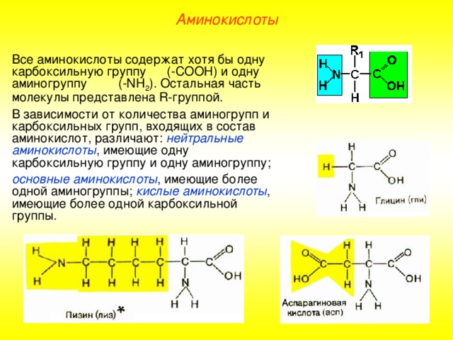 Аминокислоты Все аминокислоты содержат хотя бы одну карбоксильную группу (-СООН) и одну аминогруппу (-NH 2 ). Остальная часть молекулы представлена R -группой. В зависимости от количества аминогрупп и карбоксильных групп, входящих в состав аминокислот, различают: нейтральные аминокислоты , имеющие одну карбоксильную группу и одну аминогруппу; основные аминокислоты , имеющие более одной аминогруппы; кислые  аминокислоты , имеющие более одной карбоксильной группы. 