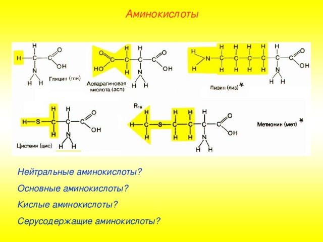 Аминокислоты Нейтральные аминокислоты? Основные аминокислоты? Кислые  аминокислоты? Серусодержащие аминокислоты? 