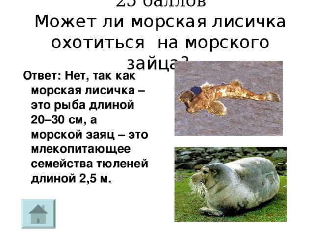 25 баллов  Может ли   морская лисичка охотиться  на морского зайца?    Ответ: Нет, так как морская лисичка – это рыба длиной 20–30 см, а морской заяц – это млекопитающее семейства тюленей длиной 2,5 м. 