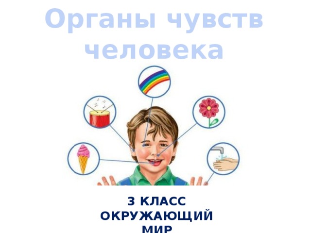 Органы чувств человека 3 класс Окружающий мир 