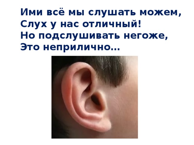 Ими всё мы слушать можем, Слух у нас отличный!  Но подслушивать негоже,  Это неприлично … 