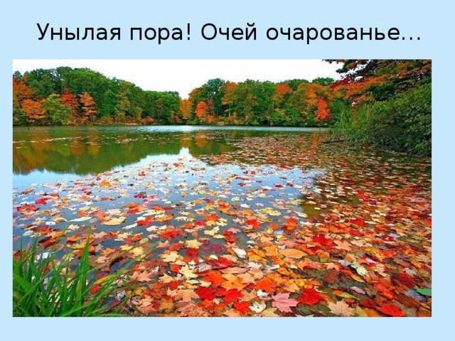 Сочинение Миниатюра Унылая Пора Сочинение Миниатюра Унылая Пора