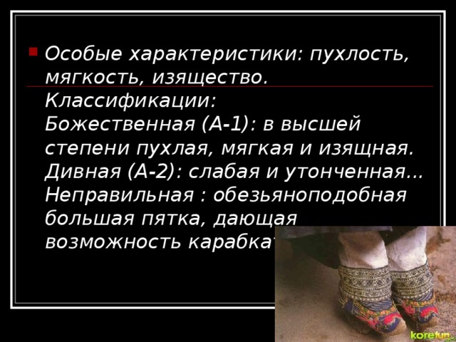 Особые характеристики: пухлость, мягкость, изящество.  Классификации:  Божественная (А-1): в высшей степени пухлая, мягкая и изящная.  Дивная (А-2): слабая и утонченная...  Неправильная : обезьяноподобная большая пятка, дающая возможность карабкаться 