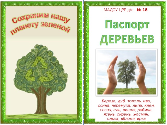 МАДОУ ЦРР д/с № 18 Береза, дуб, тополь, ива, осина, черемуха, липа, клен, сосна, ель, вишня, рябина, ясень, сирень, жасмин, ольха, яблоня, ирга 