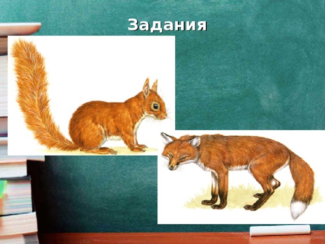 Задания   а