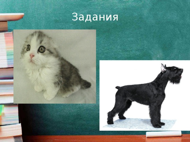 Задания