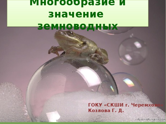 Многообразие и значение  земноводных ГОКУ «СКШИ г. Черемхово» Козлова Г. Д.
