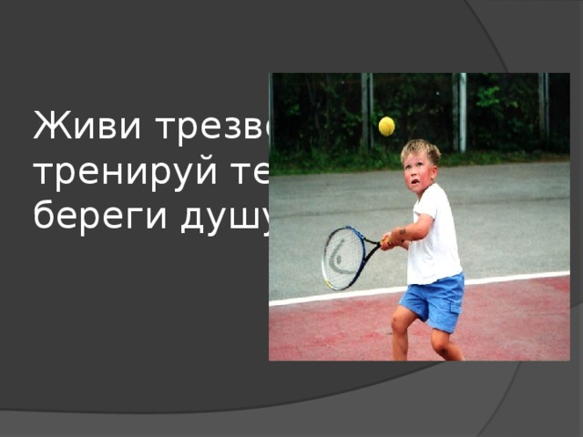 Живи трезво,  тренируй тело,  береги душу!   