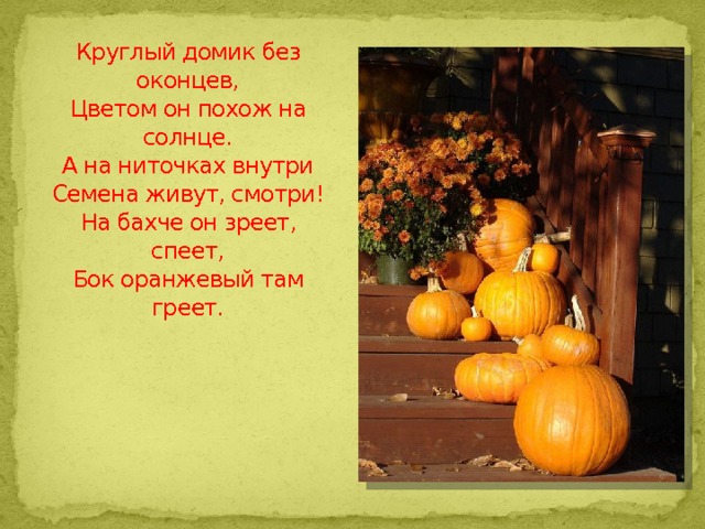 Круглый домик без оконцев,  Цветом он похож на солнце.  А на ниточках внутри  Семена живут, смотри!  На бахче он зреет, спеет,  Бок оранжевый там греет. 