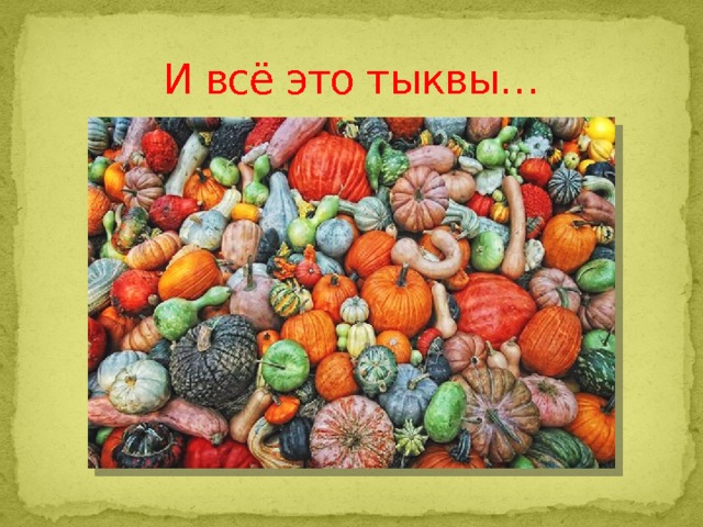 И всё это тыквы… 