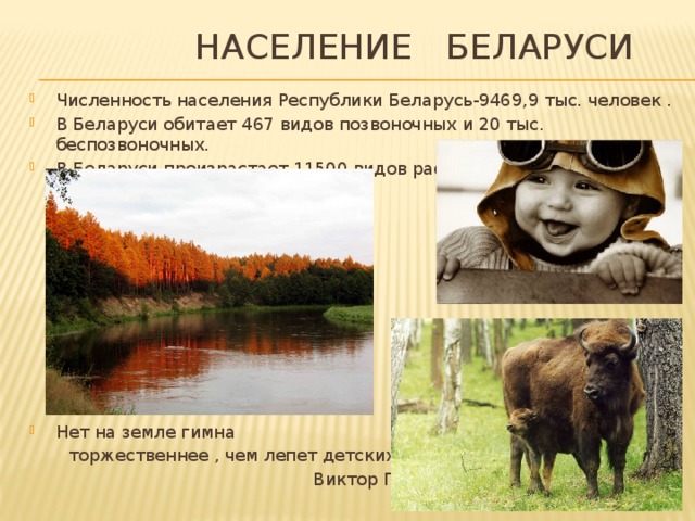  Население Беларуси Численность населения Республики Беларусь-9469,9 тыс. человек . В Беларуси обитает 467 видов позвоночных и 20 тыс. беспозвоночных. В Беларуси произрастает 11500 видов растений. Нет на земле гимна  торжественнее , чем лепет детских уст.  Виктор Гюго. 