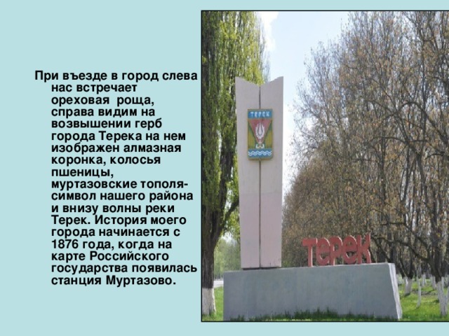    При въезде в город слева нас встречает ореховая роща, справа видим на возвышении герб города Терека на нем изображен алмазная коронка, колосья пшеницы, муртазовские тополя- символ нашего района и внизу волны реки Терек. История моего города начинается с 1876 года, когда на карте Российского государства появилась станция Муртазово.    
