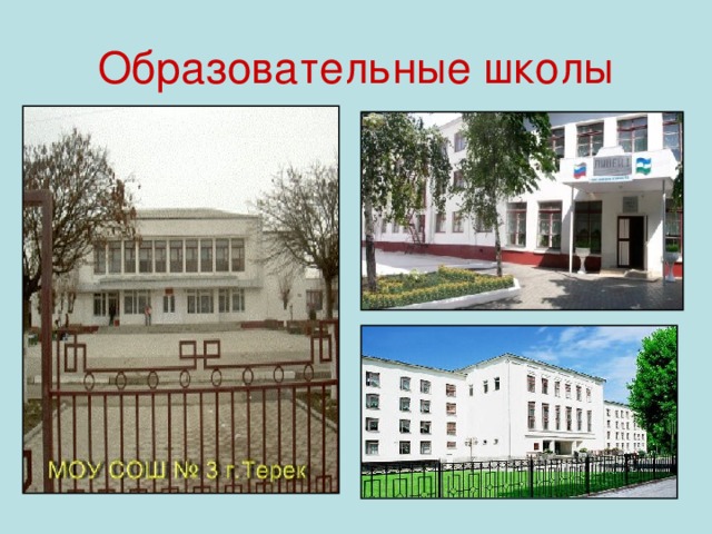 Образовательные школы 