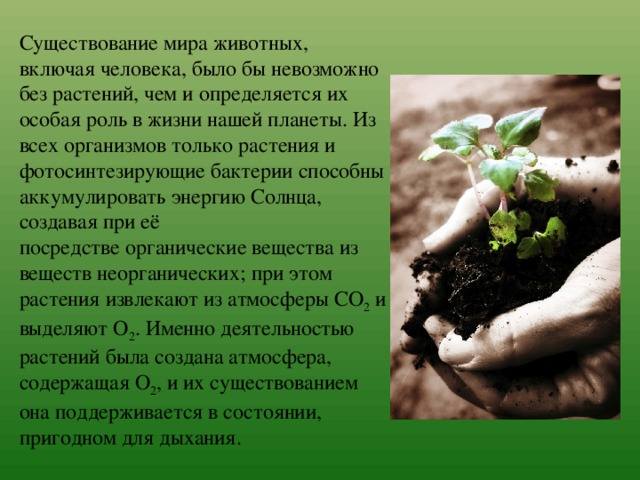 Существование мира животных, включая человека, было бы невозможно без растений, чем и определяется их особая роль в жизни нашей планеты. Из всех организмов только растения и фотосинтезирующие бактерии способны аккумулировать энергию Солнца, создавая при её посредстве органические вещества из веществ неорганических; при этом растения извлекают из атмосферы CO 2  и выделяют O 2 . Именно деятельностью растений была создана атмосфера, содержащая O 2 , и их существованием она поддерживается в состоянии, пригодном для дыхания. 