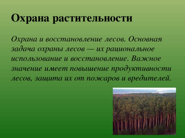 Охрана растительности Охрана и восстановление лесов. Основная задача охраны лесов — их рациональное использование и восстановление. Важное значение имеет повышение продуктивности лесов, защита их от пожаров и вредителей. 