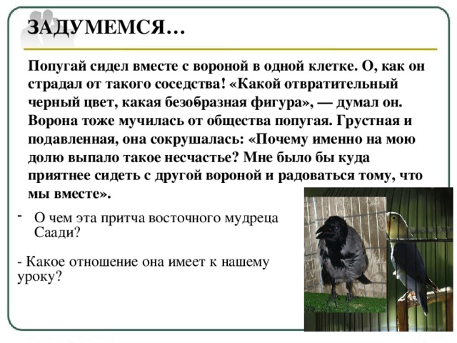 Эссе Социальная Сфера Эссе Социальная Сфера