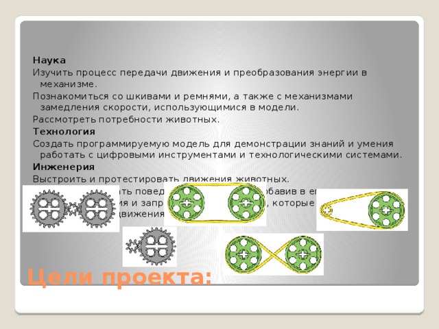  Наука Изучить процесс передачи движения и преобразования энергии в механизме. Познакомиться со шкивами и ремнями, а также с механизмами замедления скорости, использующимися в модели. Рассмотреть потребности животных. Технология Создать программируемую модель для демонстрации знаний и умения работать с цифровыми инструментами и технологическими системами. Инженерия Выстроить и протестировать движения животных. Усовершенствовать поведение аллигатора, добавив в его конструкцию датчик движения и запрограммировав звуки, которые должны быть согласованы с движениями.  Цели проекта: 
