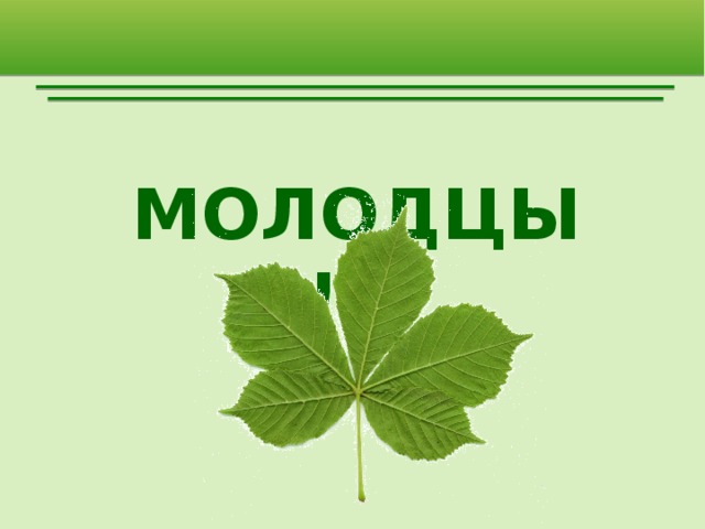 МОЛОДЦЫ!!! 