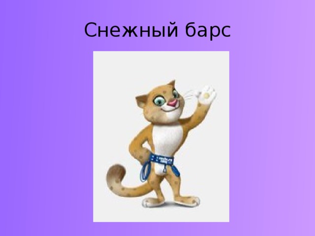 Снежный барс 