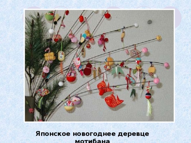 Японское новогоднее деревце мотибана 