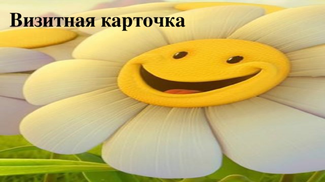 Визитная карточка
