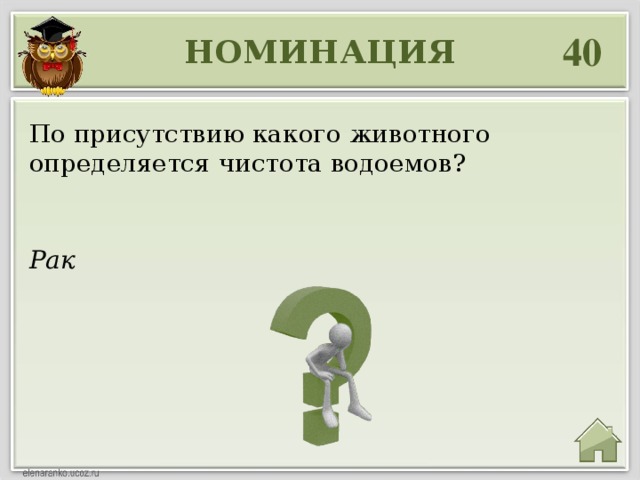 40 НОМИНАЦИЯ По присутствию какого животного определяется чистота водоемов? Рак 