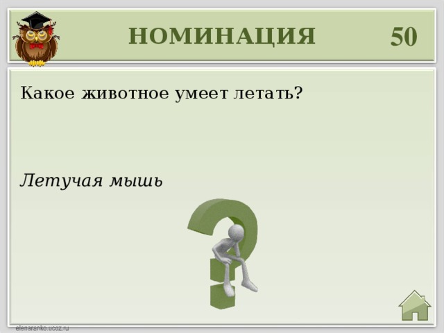 50 НОМИНАЦИЯ Какое животное умеет летать? Летучая мышь 