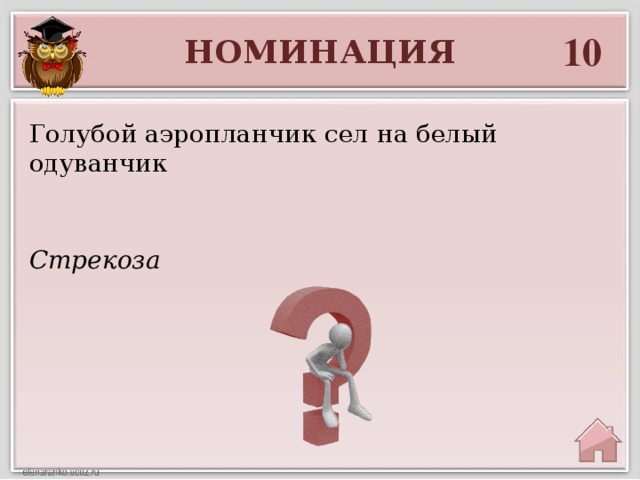 10 НОМИНАЦИЯ Голубой аэропланчик сел на белый одуванчик Стрекоза 