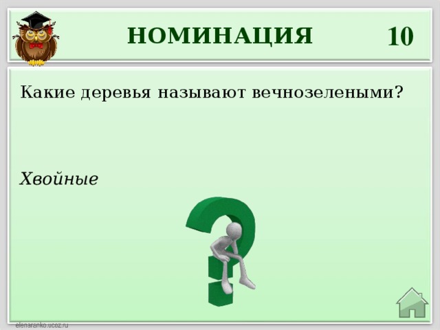 10 НОМИНАЦИЯ Какие деревья называют вечнозелеными? Хвойные 